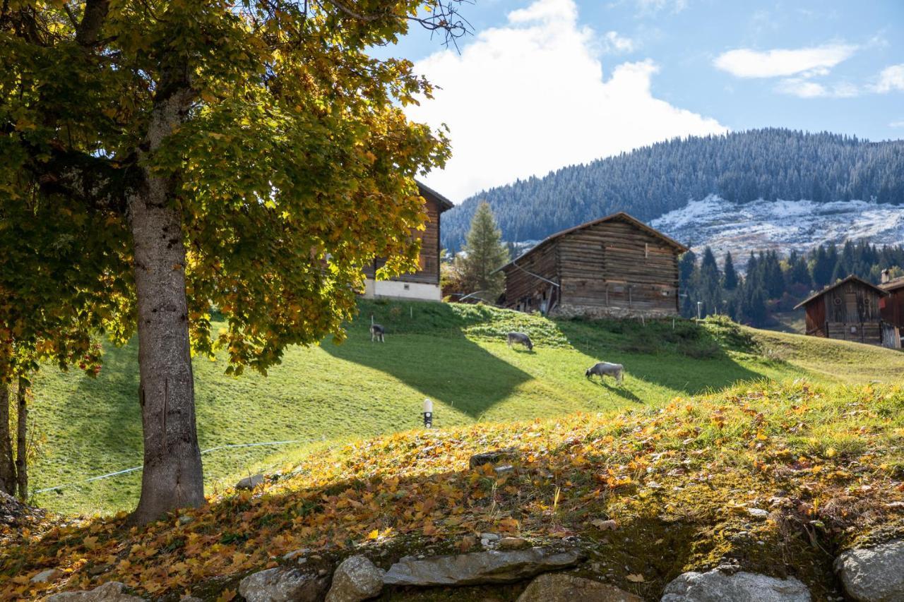 Alpenlodge Val Gronda Obersaxen Exterior photo